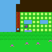 Game Screenshot 100